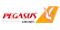 پگاسوس