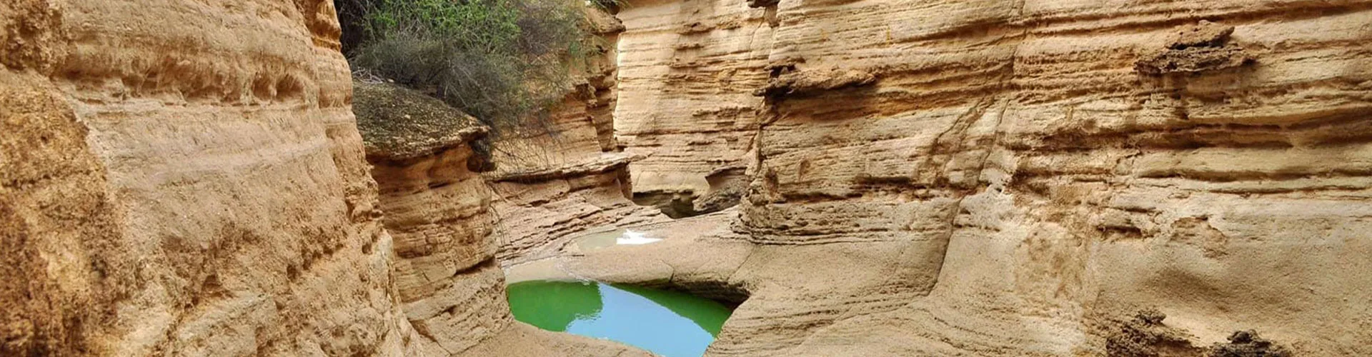 تور زمینی قشم