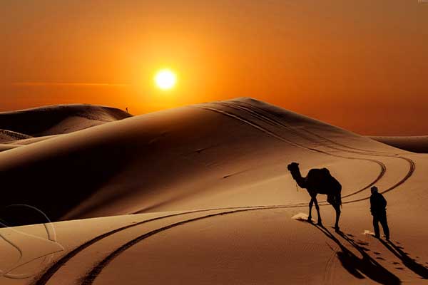 VarzanehDesert