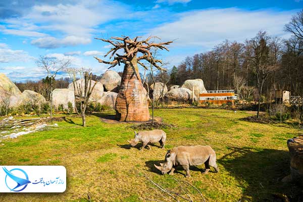 zurichzoo2