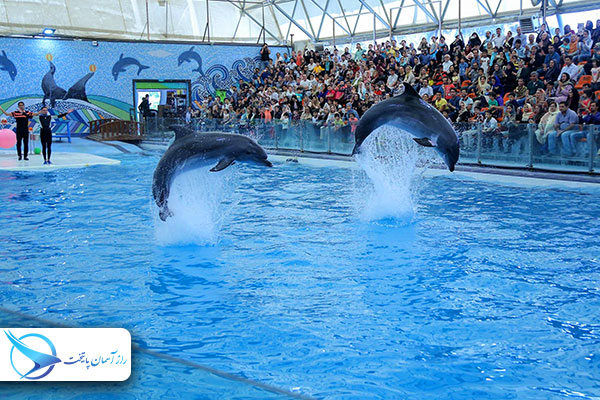 dolphinkishpark