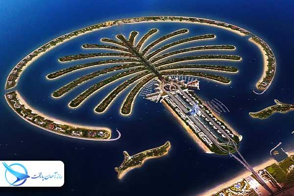palm3