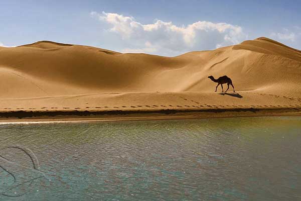DARAK