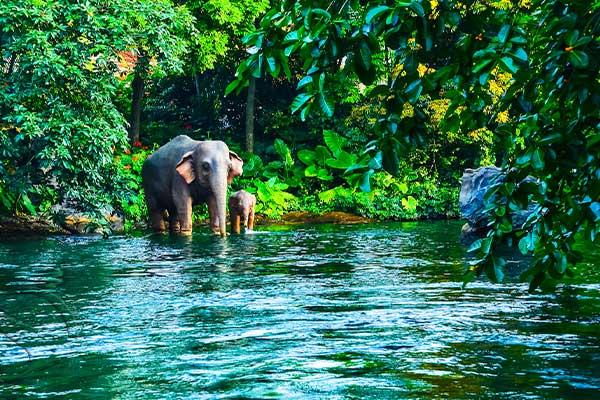 ThenatureofThailand