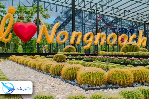 nongnooch4