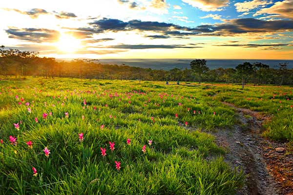 NationalParkofThailand