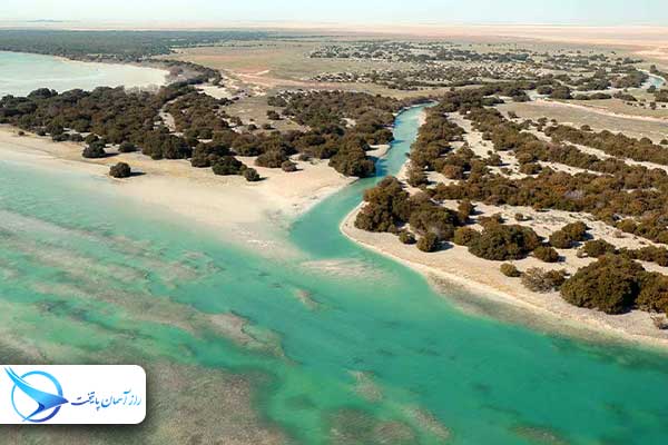 aldhakiraqatar5