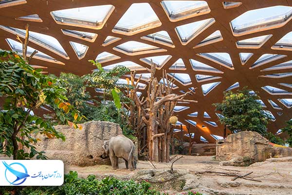 zurichzoo5