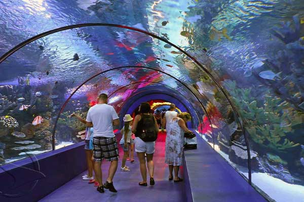 aquarium