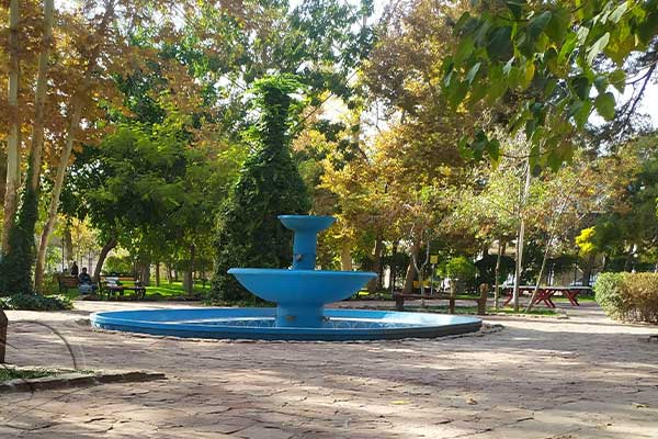bagh