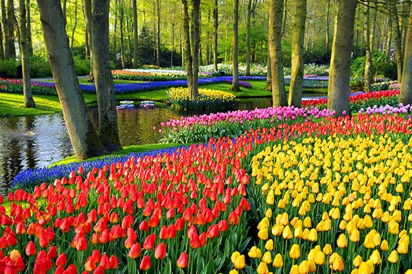 CharacteristicsoftheEuropeangardenoftheNetherlands