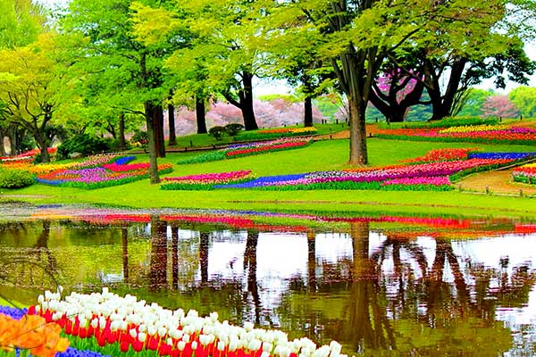 CharacteristicsoftheEuropeangardenoftheNetherlands